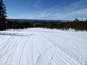 Sehr leichte Piste Dalen