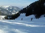 Piste am Sattelkurvenlift