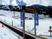 Jelly Bean - Förderband