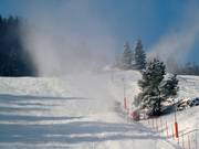 Beschneite Talabfahrt