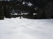 Buckelpiste auf der Rückseite des Skigebietes