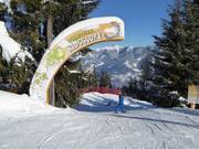 Tipp für die Kleinen  - Schmidolins Kidsslope