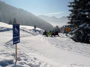 Naturrodelbahn Laterns