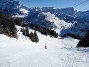 Schwere Piste Chamois (Villars)