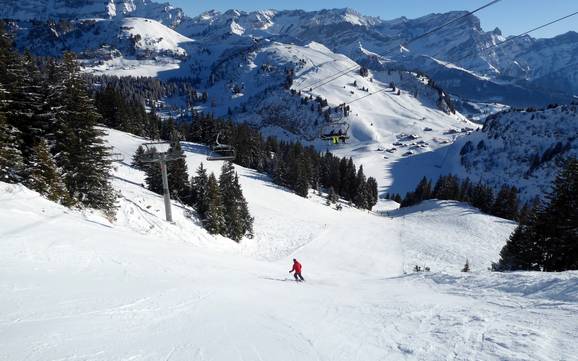 Skigebiete für Könner und Freeriding Genferseegebiet – Könner, Freerider Villars/Gryon/Les Diablerets