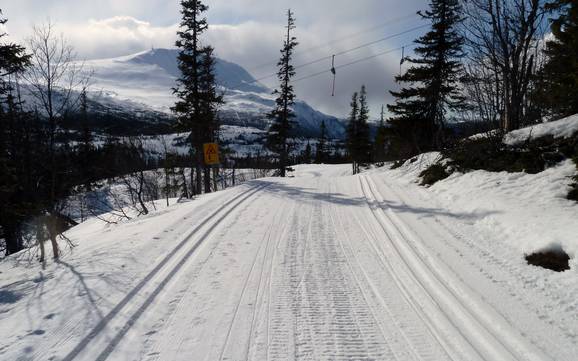 Langlauf Telemark – Langlauf Gaustablikk – Rjukan