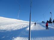 Lièvre Blanc 1 - Tellerlift