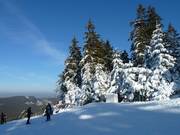 Idyllische Landschaft