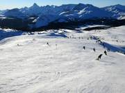 Leichte Abfahrt Nr. 34 Green Run