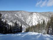 Buckelpiste mit Alder Point