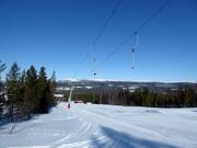 Vargliften 1 - Tellerlift