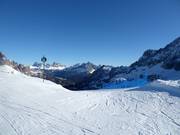 Schwere Piste Nr. 62 Vitelli