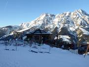 Steinadler an der Mittelstation Leogang