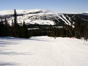 Leichte Abfahrt am Tellerlift Blabaerfjell 