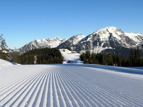 Pistenpräparierung Lammertal – Pistenpräparierung Dachstein West – Gosau/Russbach/Annaberg
