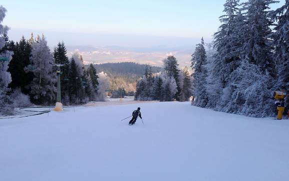Pistenangebot Hohenbogenwinkel – Pistenangebot Hohenbogen – Neukirchen bei Hl. Blut