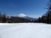 Leichte Piste Final Fling (Niseko Village)