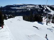 Tipp für die Kleinen  - KIDS Parken