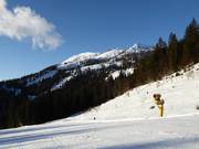 Blick Richtung Lawinenstein