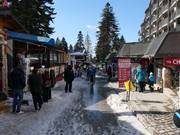 Der Ort Borowez (Borovets)