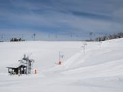 Chard du Beurre - Tellerlift