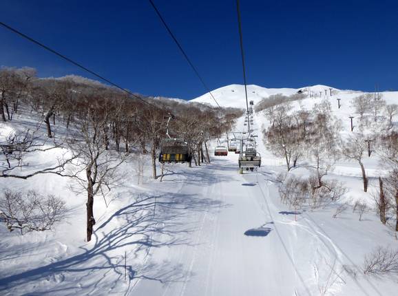 King Hooded Quad Lift #3