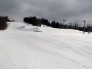 Burton Progression Park