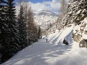 Tristenau-Talabfahrt