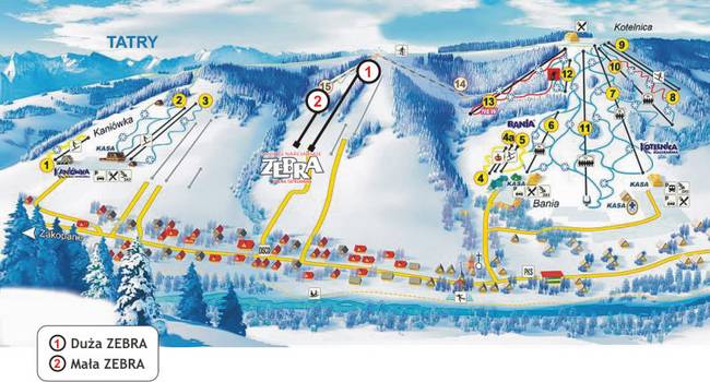 Zebra – Białka Tatrzańska Zebra – Białka Tatrzańska