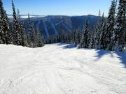 Abfahrt Cruiser mit Blick zu den Abfahrten am Mt. Morrisey