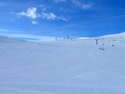 Freeride Paradise am Storkläppen