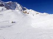 Die rote Abfahrt Des Alpes 2 am Langenstein