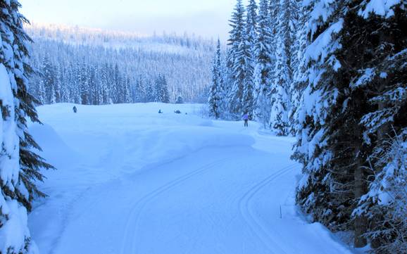 Langlauf Thompson-Nicola – Langlauf Sun Peaks