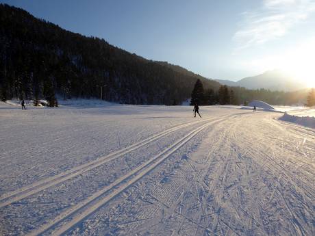 Langlauf Wettersteingebirge und Mieminger Kette – Langlauf Gschwandtkopf – Seefeld