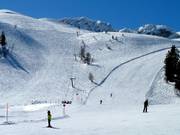 Kanonenrohrlift - Schlepplift mit T-Bügel/Anker