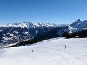 Leichte Standardabfahrt