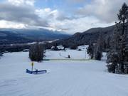 Leichte Pisten im Talbereich von Fairmont Hot Springs