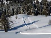 Die Loipen sind für den klassischen Stil und den Skatingstil präpariert.