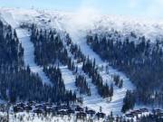 Blick auf die schweren Waldschneisenabfahrten am Solliften in Tandådalen