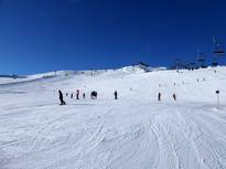 Bilder Kaltenbach – Hochzillertal/Hochfügen (SKi-optimal)