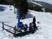 Barney Handle Tow für die Kleinen