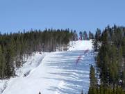 Schwere Piste Frida Race Arena Nr. 11