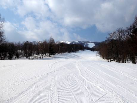 Pistenangebot Prince Snow Resorts – Pistenangebot Furano