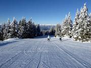 Hirschboden-Abfahrt