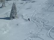 Tiefschnee am Top Liner