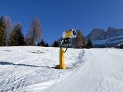Schneekanone im Skigebiet Carezza
