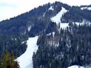 Blick auf die FIS-Standard-Strecke-Kohlerhang