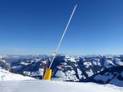Schneilanze beim Wiedersberger Horn