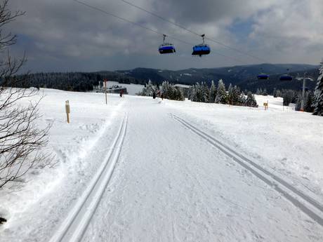 Langlauf Südschwarzwald – Langlauf Feldberg – Seebuck/Grafenmatt/Fahl