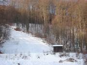 Waldabfahrt am Wurzelbrunnen-Lift
